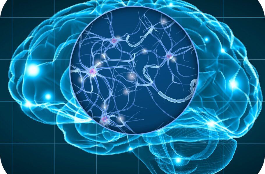 BrainSee