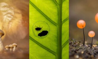 مسابقه عکاسی