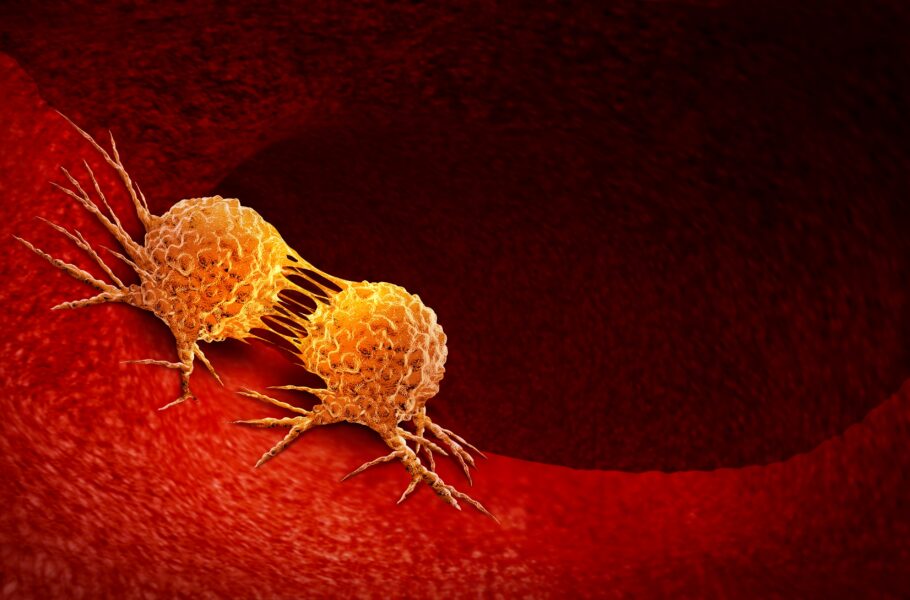 Cancer Cell Dividing