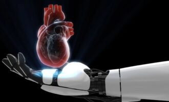 heart