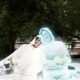 ازدواج با هولوگرام