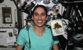 یاسمین مقبلی و قرمه سبزی