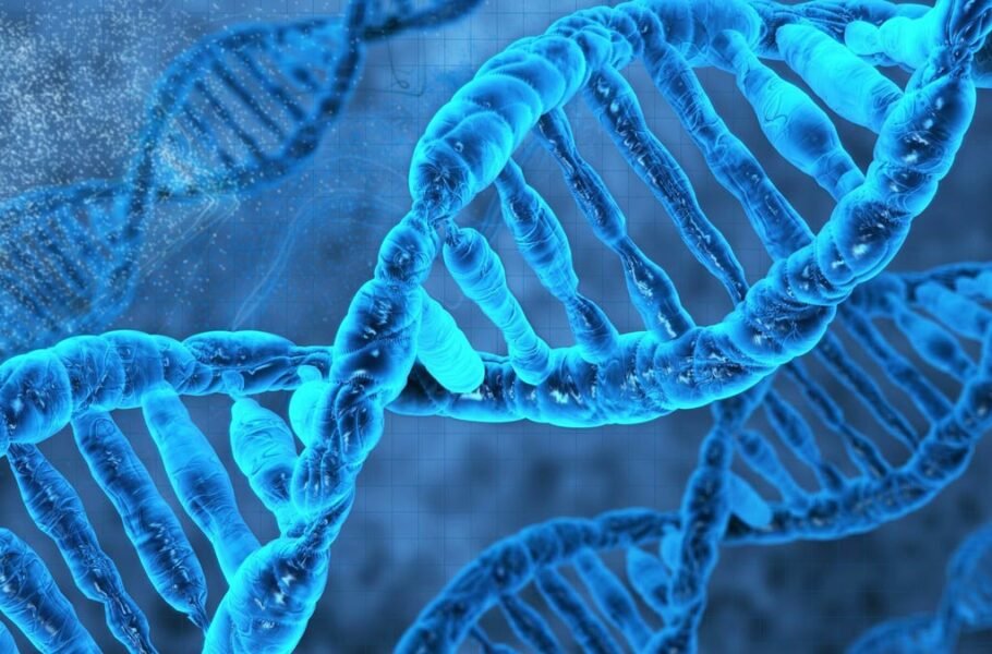 DNA