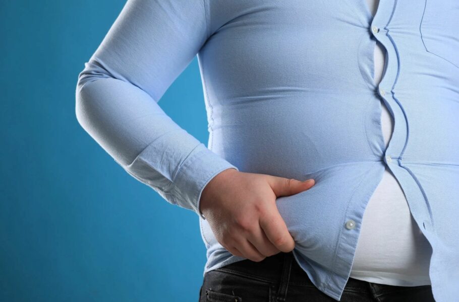 جمعیت چاق جهان