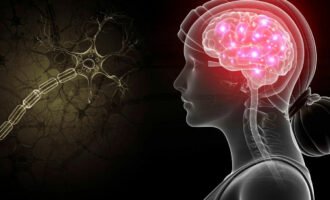 متابولیسم مغزی