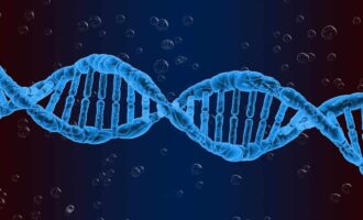 شخصیت و ژنتیک