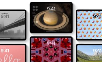 اتحادیه اروپا و iPADOS