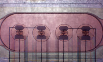 زیست‌پردازنده