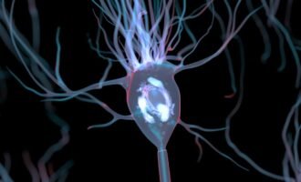 کنترل مغز با میدان های مغناطیسی