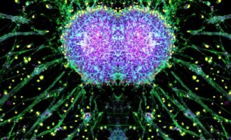 مسابقه عکاسی علمی 2024