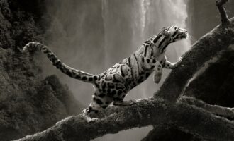 مسابقه عکاسی خلاقانه 2024