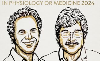 جایزه نوبل پزشکی 2024