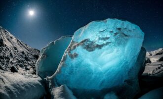 مسابقه انجمن عکاسی سلطنتی 2024