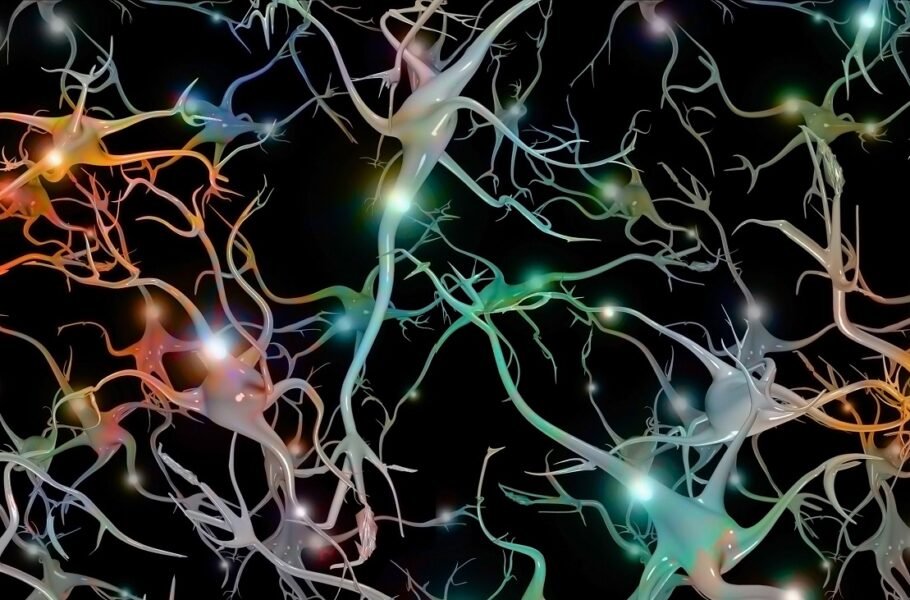 حافظه در سلول‌های بدن