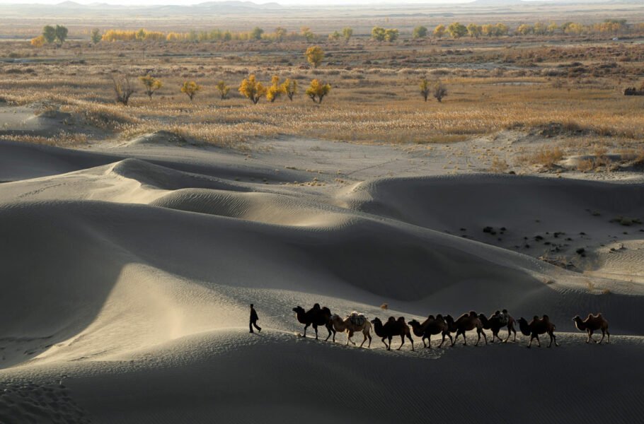 بیابان