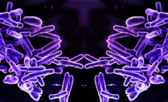 باکتری‌های آینه‌ای