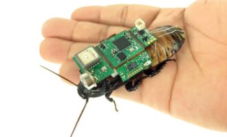 سوسک سایبورگ