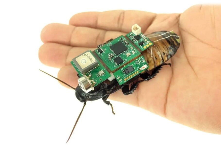 سوسک سایبورگ