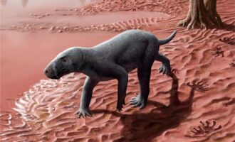 قدیمی‌ترین جد پستانداران