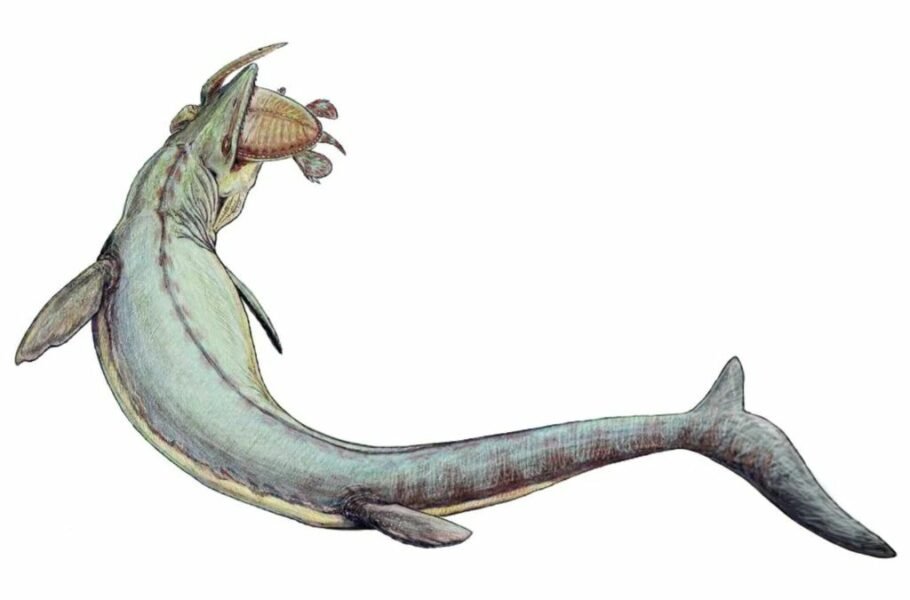 فسیل موساسور