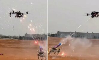 جنگ ربات‌ها