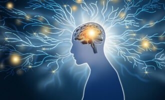 کشف محل کنترل اضطراب در مغز